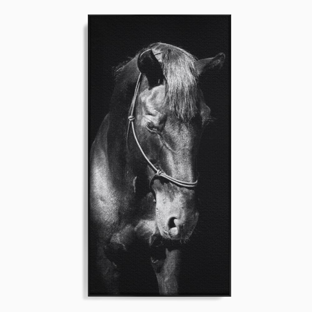 Tablou canvas cu tablou canvas cu un cal negru, in rama de aluminiu negru